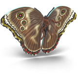 Schleich Insekten Entdecker Set, Spielfigur 