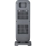 Steba Carbon-Heizstrahler CH 2  grau