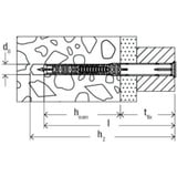 fischer Langschaftdübel DuoXpand 10x120 T hellgrau/rot, 50 Stück