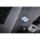 Intenso Secure Digital SDHC Card 16 GB, Speicherkarte Class 10