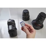 Intenso Secure Digital SDHC Card 16 GB, Speicherkarte Class 10