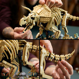 LEGO 77985 Jurassic World Dinosaurier-Fossilien: Triceratops, Konstruktionsspielzeug 