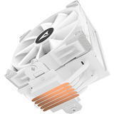 Sharkoon A50 RGB, CPU-Kühler weiß, 120 mm