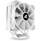 Sharkoon A50 RGB, CPU-Kühler weiß, 120 mm