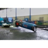 Bosch Professional Winkelschleifer GWS 17-125 TS Professional blau/schwarz, 1.700 Watt