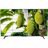 TCL 55P6L, LED-Fernseher 138.8 cm (55 Zoll), schwarz, UltraHD/4K, AiPQ Processor, Google TV