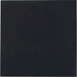 Thermal Grizzly Minus Pad Advance - 100x100x2,0 mm, Wärmeleitpads 2er Pack