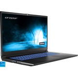Medion ERAZER Scout E10 (30033859), Gaming-Notebook schwarz, Windows 11 Home 64-Bit, 144 Hz Display, 512 GB SSD