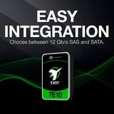 Seagate Exos 7E10 8 TB, Festplatte SATA 6 Gb/s, 3,5"