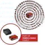 EINHELL Professional Akku-Laubbläser GP-LB 18/200 LI, 18Volt rot/schwarz, 1x Li-Ion-Akku 4,0 Ah Plus, mit Dachrinnen-Reinigungsset