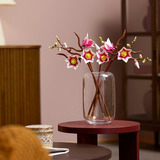 LEGO 11510 Botanicals Magnolienzweige, Konstruktionsspielzeug 