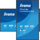 iiyama LH4366UHSB-B1AG, Public Display schwarz (matt), UltraHD/4K, VA, HDMI, USB-C