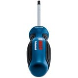 Bosch Professional Schraubendreher TX 25 x 100 Professional blau/schwarz