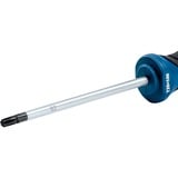 Bosch Professional Schraubendreher TX 25 x 100 Professional blau/schwarz