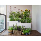 GARDENA Solar-Bewässerung AquaBloom Set, Bewässerungssteuerung grau, für bis zu 20 Pflanzen