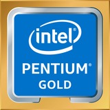 Intel® Pentium® Gold G6500T, Prozessor