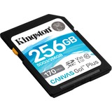 Kingston Canvas Go! Plus 256 GB SDXC, Speicherkarte schwarz, UHS-I U3, Class 10, V30