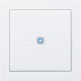 Homematic IP Smart Home Wandtaster flach (HmIP-WRCC2) 