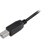 Sharkoon USB 2.0 Kabel, USB-A Stecker > USB-B Stecker schwarz, 2,0 Meter