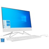 HP All-in-One 22-df0002ng, PC-System weiß, Windows 10 Home 64-Bit