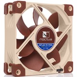 Noctua NF-A8 5V PWM, Gehäuselüfter 