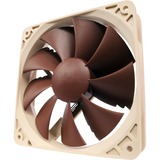 Noctua NF-P12 PWM, Gehäuselüfter braun, Retail