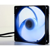 Scythe Kaze Flex RGB 1200 120x120x27, Gehäuselüfter 