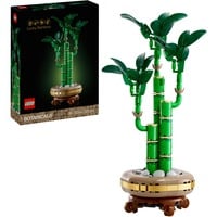 LEGO 10344 Botanicals Glücks-Bambus, Konstruktionsspielzeug