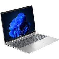 HP EliteBook 6 G2a (E02FXET), Notebook silber, AMD Ryzen 7 PRO 250, AMD Radeon 780M, 32 GB LPDDR5X, 1 TB (1 TB SSD), Windows 11 Pro