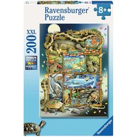 Ravensburger Kinderpuzzle Reptilien im Regal 200 Teile