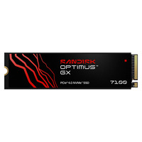 SanDisk Optimus GX 7100 1 TB, SSD schwarz, PCIe 4.0 x4 NVMe 2.0 M.2 2280-S3-M
