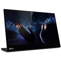 Lenovo Thinkvision M14T Generalüberholt, LED-Monitor 35.56 cm (14 Zoll), schwarz, FullHD, IPS, USB-C