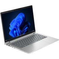 HP EliteBook 6 G2a (E02FRET), Notebook silber, AMD Ryzen 7 PRO 250, AMD Radeon 780M, 32 GB LPDDR5X, 1 TB (1 TB SSD), Windows 11 Pro