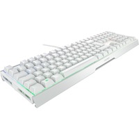 CHERRY XTRFY MX 3.1, Gaming-Tastatur weiß/silber, DE-Layout, Cherry MX2A Brown