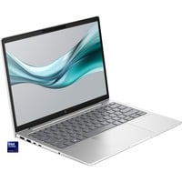HP EliteBook 630 G11 (9C0G6EA) , Notebook silber, Intel® Core™ Ultra 5 125U, Intel® Graphics, 8 GB DDR5, 256 GB (256 GB SSD), Windows 11 Pro 64-Bit