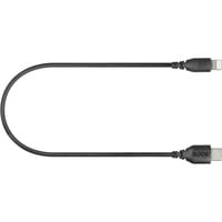 Rode Microphones USB Adapterkabel SC21, USB-C Stecker > Lightning Stecker schwarz, 30cm