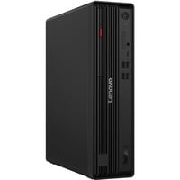 Lenovo ThinkCentre M70s Gen 6 (12YK001JGE), PC-System schwarz, Windows 11 Pro