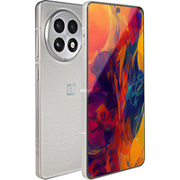 OnePlus 13R 256GB, Handy Astral Trail, OxygenOS, 12 GB