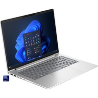 HP EliteBook 645 G11 (9C0H3EA), Notebook silber, AMD Ryzen 5 7535U, AMD Radeon 660M, 16 GB DDR5, 512 GB (512 GB SSD), Windows 11 Pro