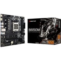 Biostar B650MT, Mainboard 