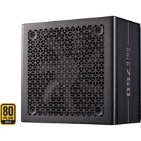 Cooler Master ELITE GOLD 750, PC-Netzteil schwarz, 1x 12-Pin High Power GPU, 2x PCIe, 750 Watt