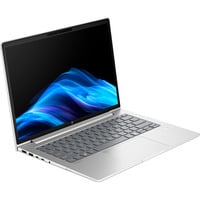 HP ProBook 4 G1a (C07P1ES), Notebook silber, AMD Ryzen 5 230, AMD Radeon 760M, 16 GB DDR5, 512 GB (512 GB SSD), ohne Betriebssystem
