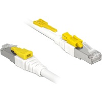 DeLOCK RJ45 Secure Cat. 6A, Kabel weiß, 5 Meter, verriegelbar, LSOH Halogenfrei