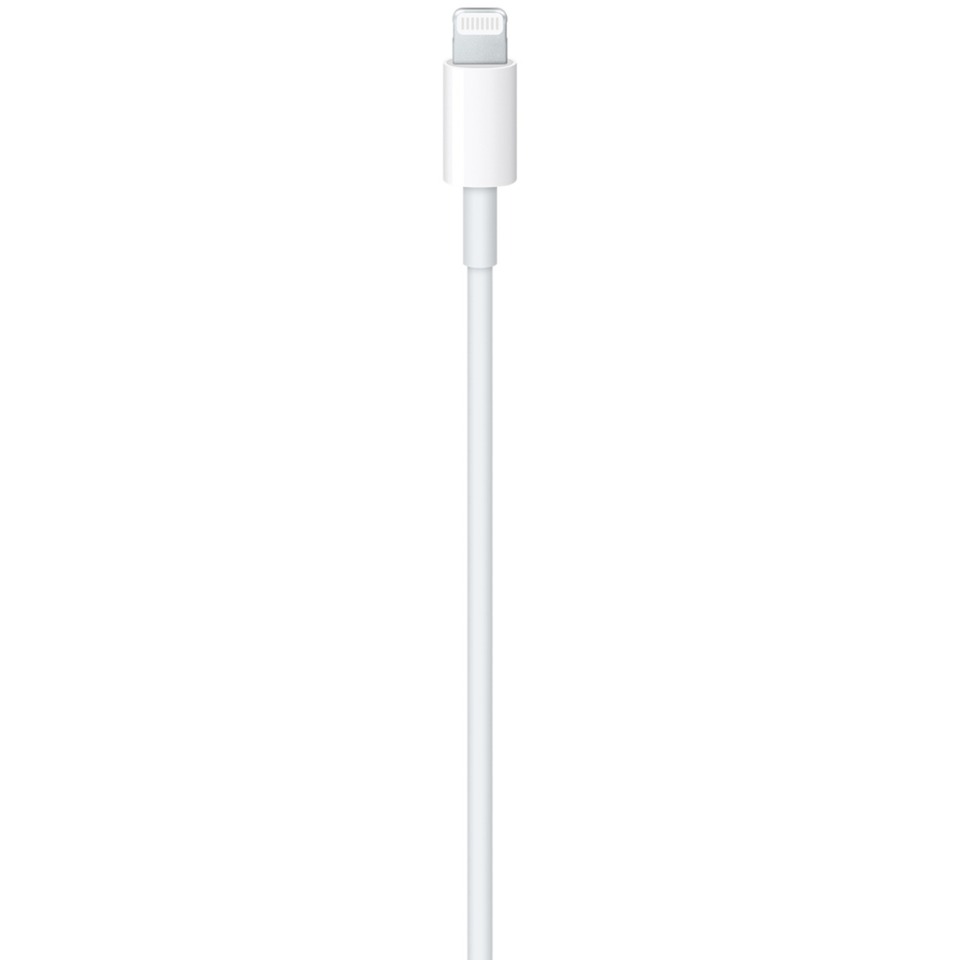 Apple USB Adapterkabel, USB-C Stecker > Lightning Stecker weiß, 1 Meter, PD, Laden mit bis zu 100 Watt