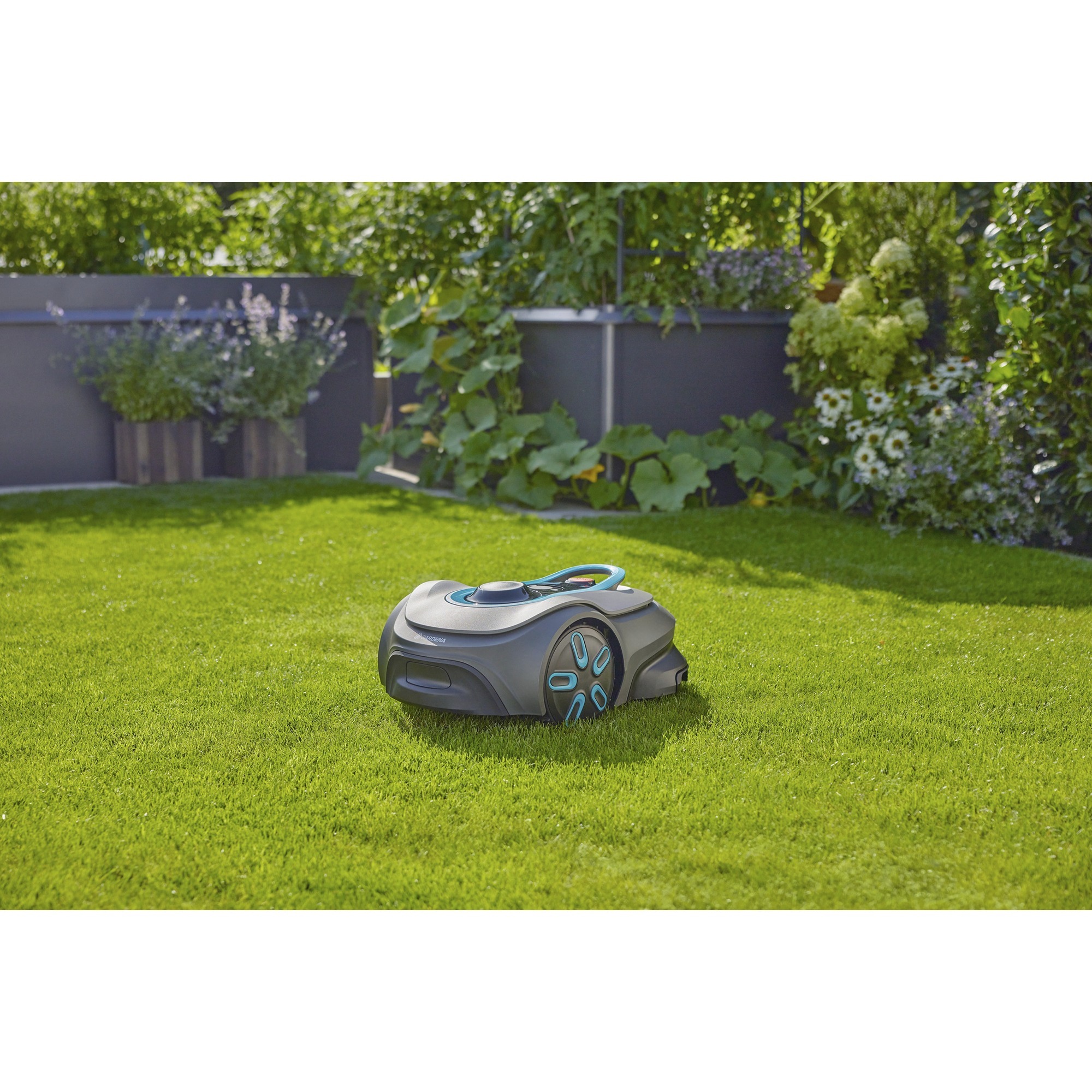 GARDENA Mähroboter smart SILENO free 800m² Set grau/türkis, Li-Ionen Akku, mit smart Gateway, LONA-Technologie
