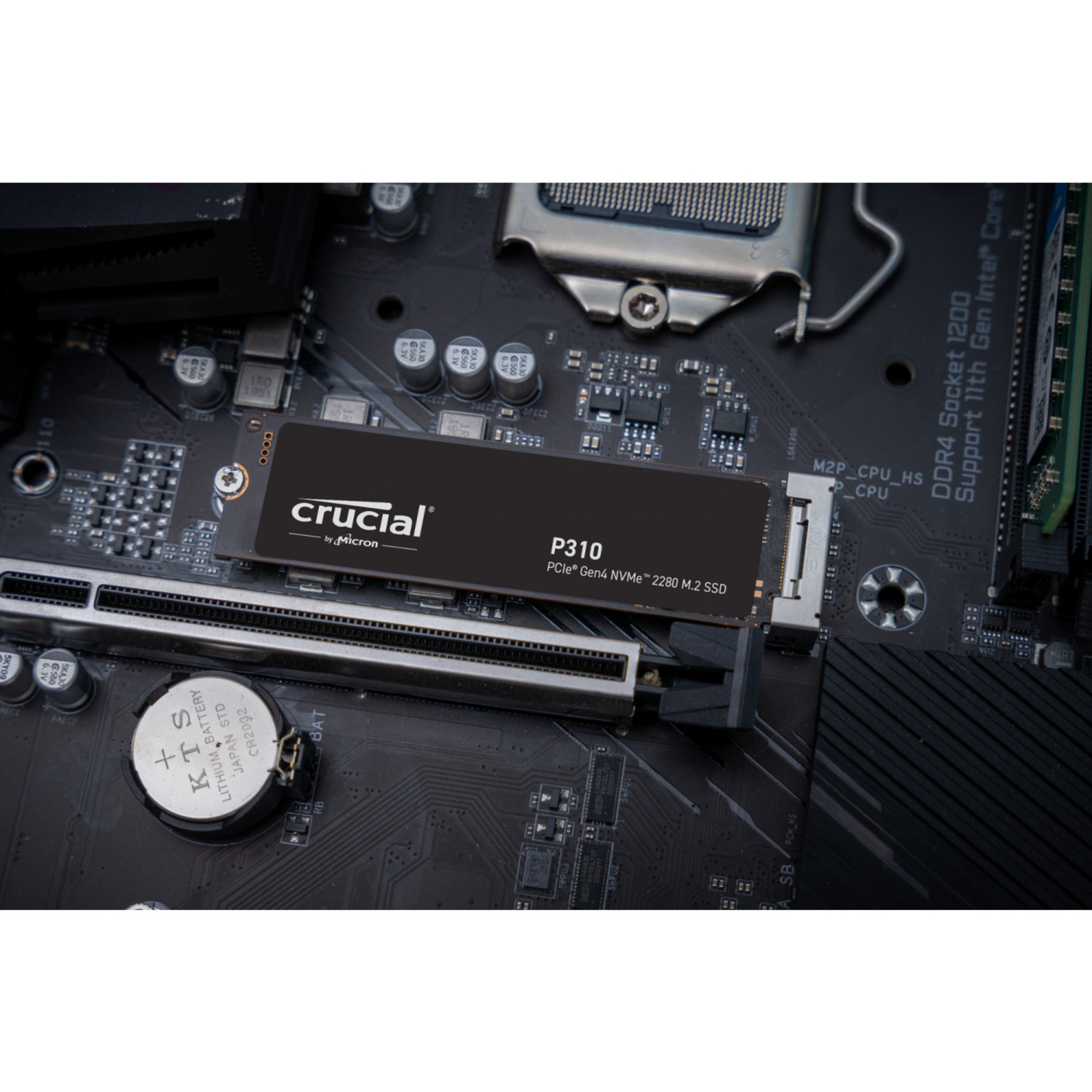 Crucial P310 500 GB, SSD schwarz, PCIe 4.0 x4, NVMe, M.2 2280